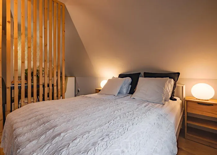 住宿加早餐酒店 Bystry Comfort 布库维纳塔然斯卡